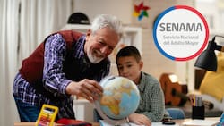 Servicio Nacional del Adulto Mayor busca trabajadores: Pagan más de $1.400.000