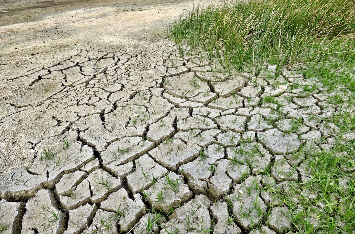 El grave problema del uso del agua en Chile: ¿Cuánto se destina al consumo humano?