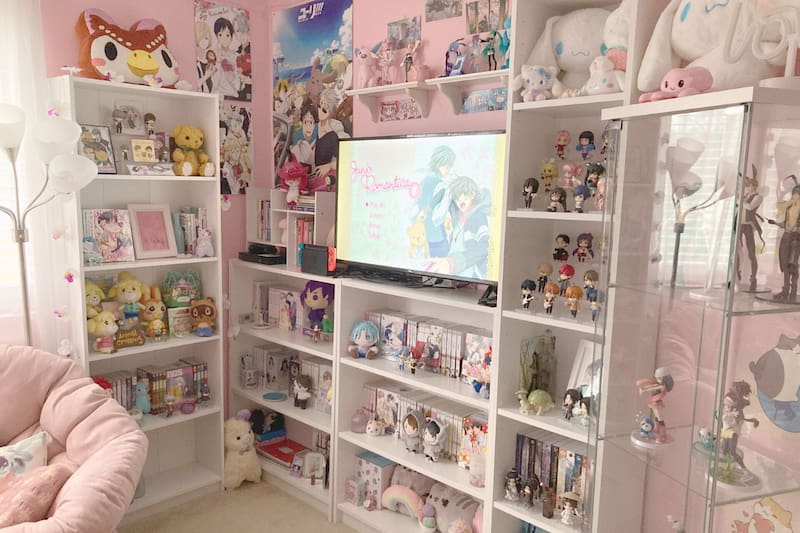 Son muchas las cosas que se pueden comprar siendo otaku.