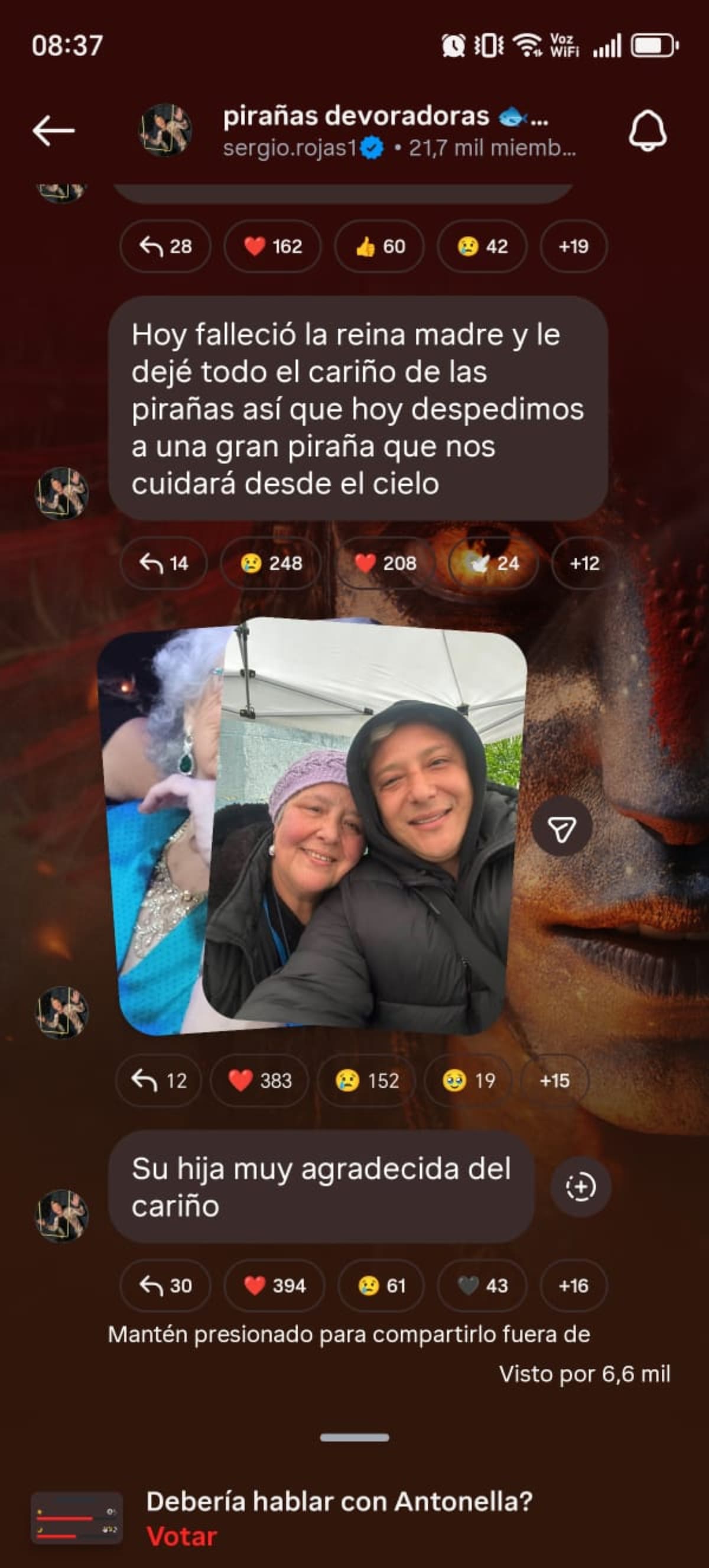 En su canal de difusión. Foto: Instagram.