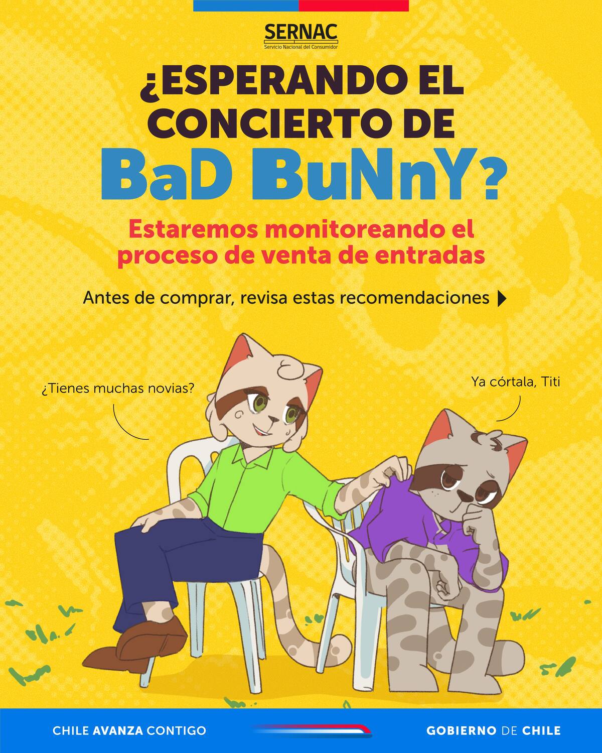 La entidad entregó recomendaciones ante la venta de entradas para Bad Bunny en Chile.