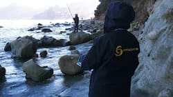 Con sueldos desde $832.000: Sernapesca publicó nuevas ofertas de trabajo