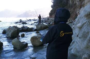 Con sueldos desde $832.000: Sernapesca publicó nuevas ofertas de trabajo