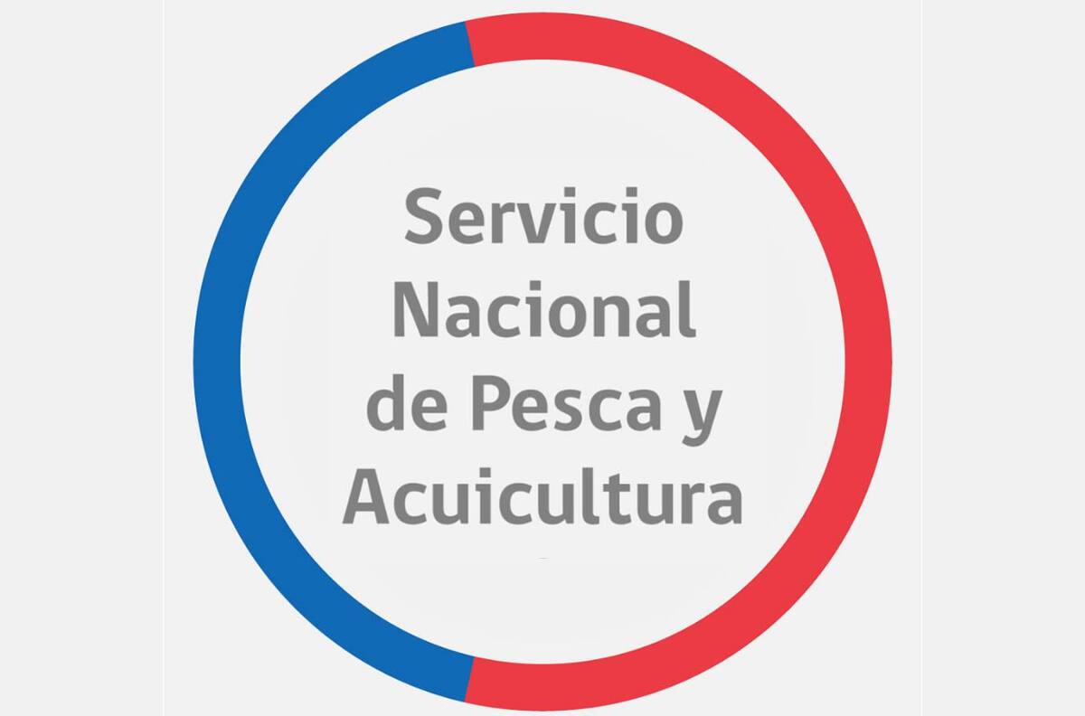Ofrecen sueldos desde $1.620.000: Sernapesca busca trabajadores