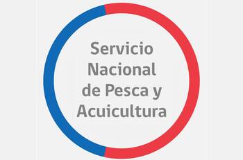 Ofrecen sueldos desde $1.620.000: Sernapesca busca trabajadores