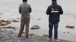 Sernapesca busca trabajadores en Valparaíso: Los sueldos comienzan en $1.626.000