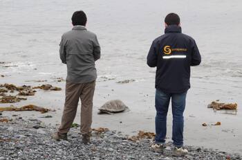 Sernapesca busca trabajadores en Valparaíso: Los sueldos comienzan en $1.626.000