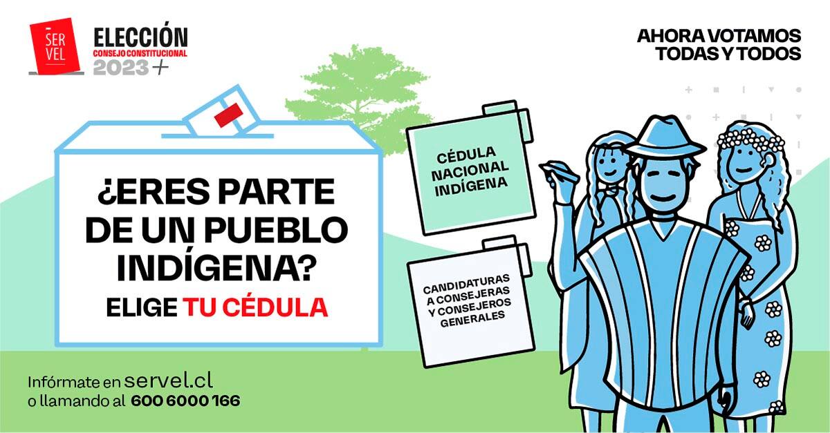 Quienes quieran votar por un representante de pueblos originarios deben exigir su cédula al momento de la votación. Créditos: Servel.