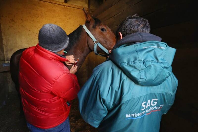 Revisa las tres convocatorias que tiene disponibles.