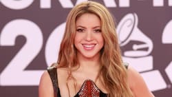 ¿Cuándo terminará la preventa de entradas para Shakira en Chile 2025 por Punto Ticket?