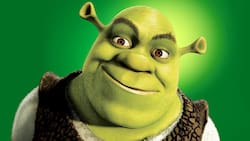 Se va un clásico del cine: ¿Hasta cuándo se podrá ver Shrek 1 y 2 en Netflix Chile?