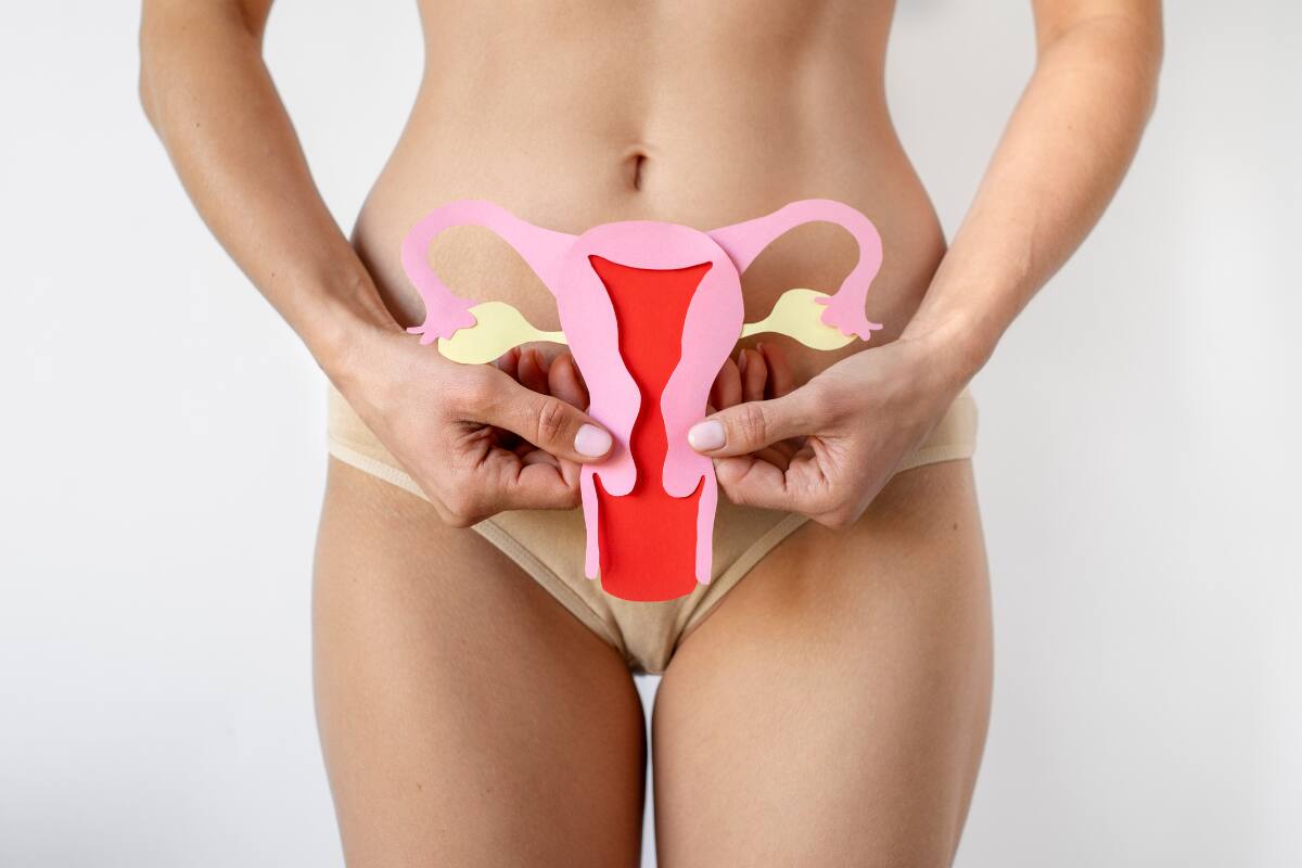 Tal y como su nombre lo indica, el SOP causa malformaciones y folículos de gran tamaño en los ovarios a causa de un desorden hormonal crónico. Créditos: Freepik.