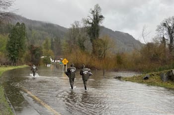 VIDEO | Intenso despliegue policial por sistema frontal en La Araucanía