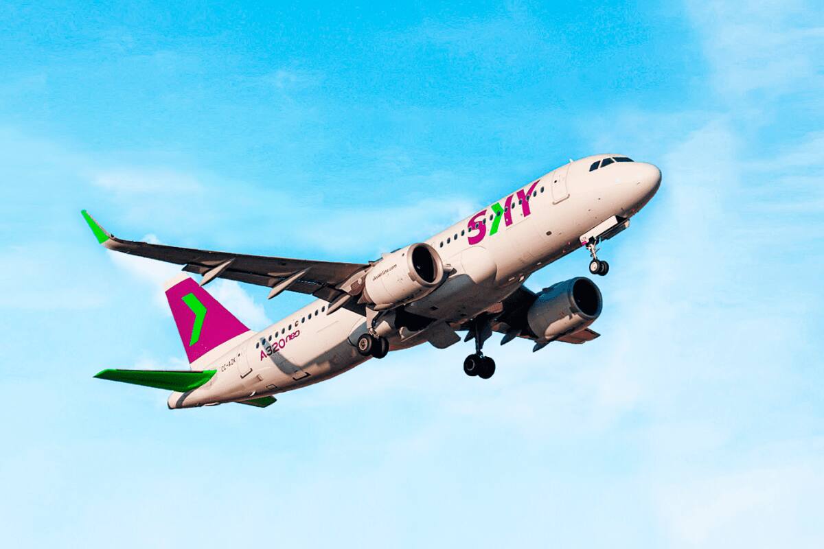 Revisa las declaraciones de la aerolínea. Créditos: Sky Airline.