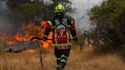 De esta forma puedes comprar tu SOAP a $1.490 y apoyar a Bomberos de Chile