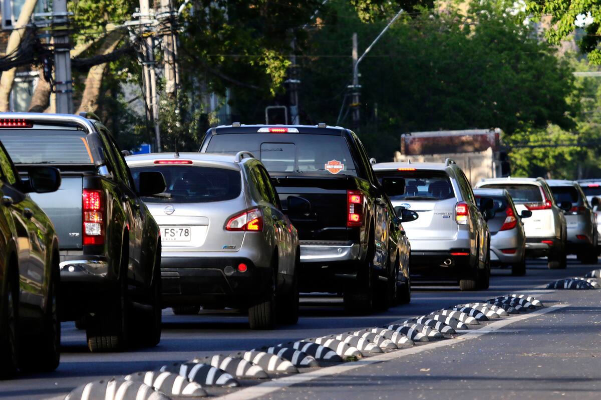 Mira cuál es el seguro que más te conviene si tienes automóvil este 2024.