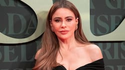 Al igual que Shakira: Sofía Vergara tendrá su propia estatua en Colombia