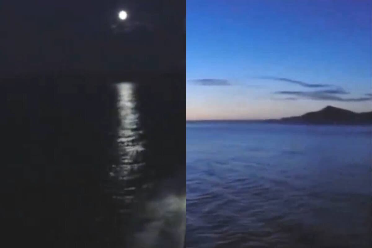 El inusual momento fue compartido por uno de los pasajeros del barco.