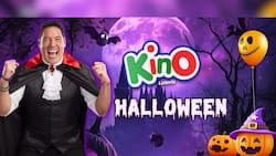 Resultados del Kino sorteo 3142: Pozo acumulado superó los $3.750 millones a repartir