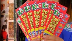 Resultados del sorteo 3137 del Kino: 7 jugadores se llevaron $1.000.000