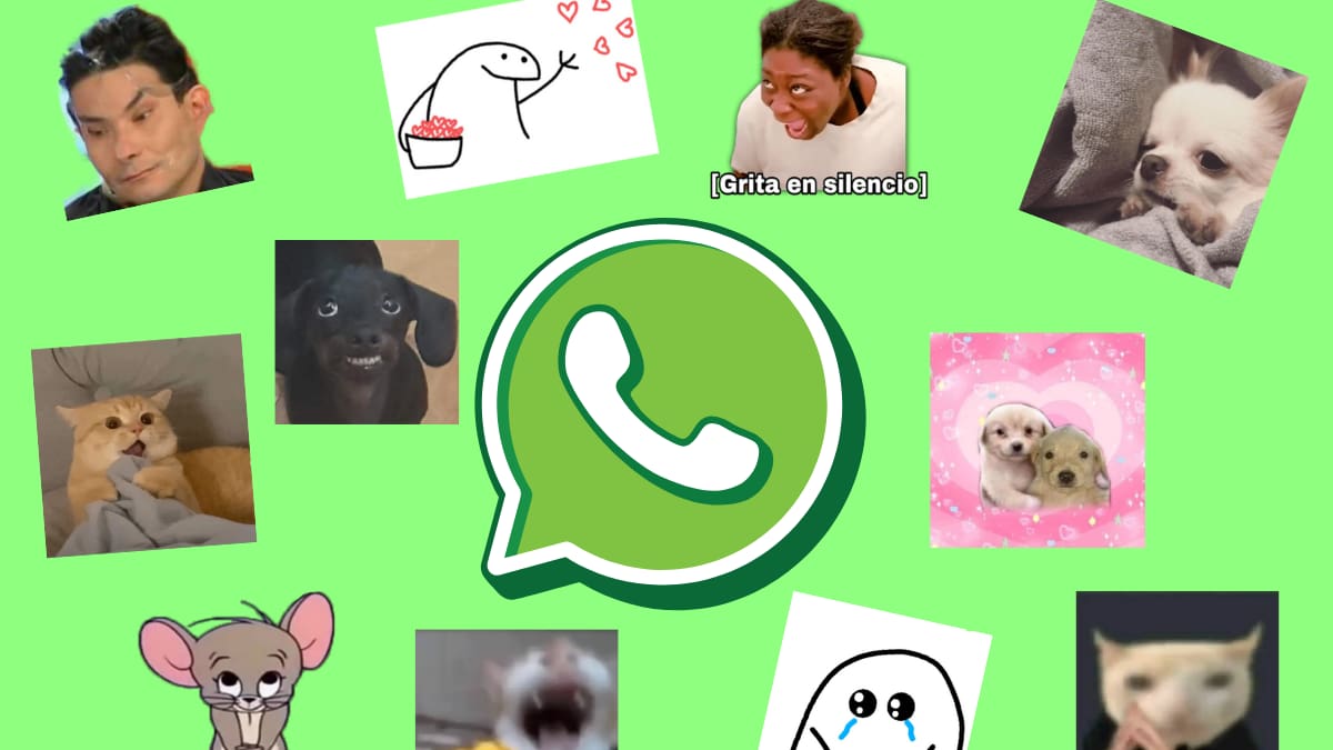 ¿Lo conocías? Este botón te permite organizar todos tus stickers de WhatsApp
