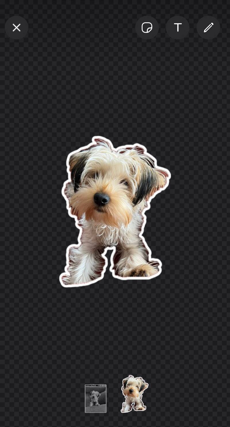 Al elegir la foto, el mismo sistema se encargará de recortarla para eliminar el fondo.