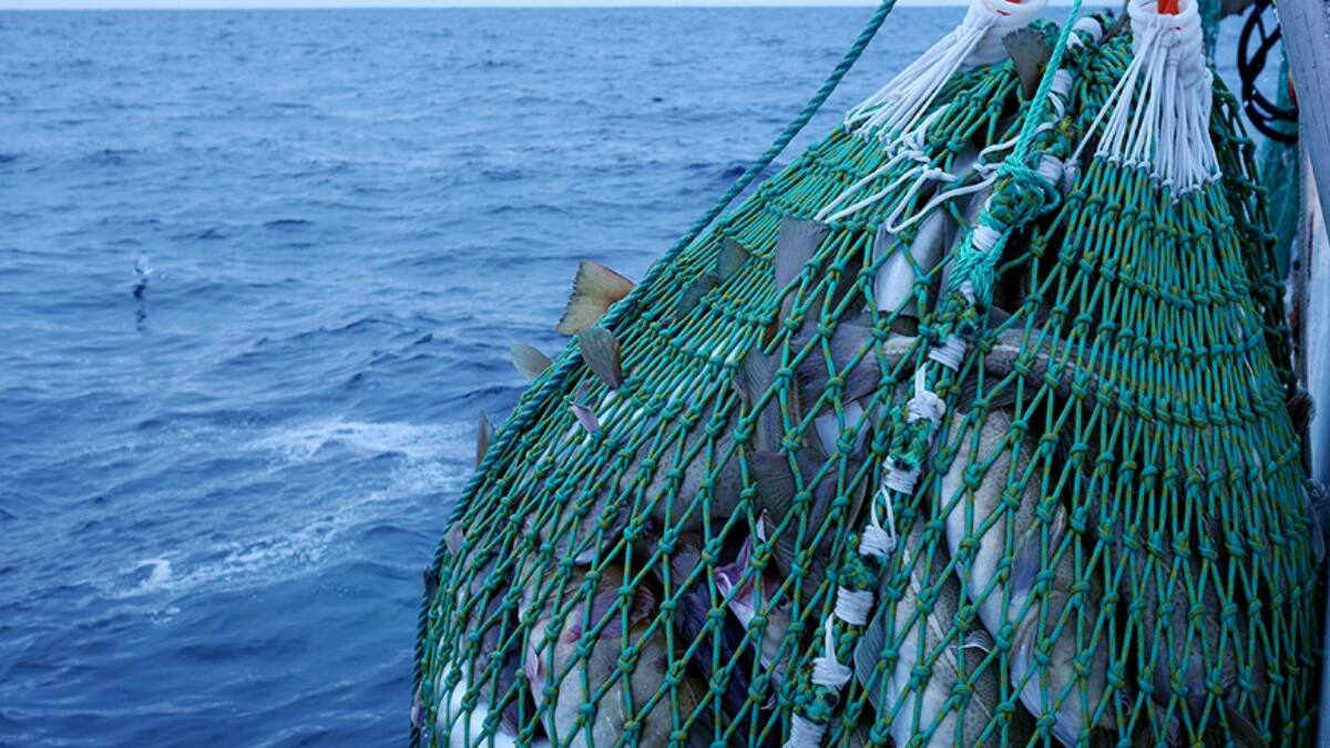 Abre la subasta anual de Subpesca: Estas son las fechas clave y criterios esenciales para participar