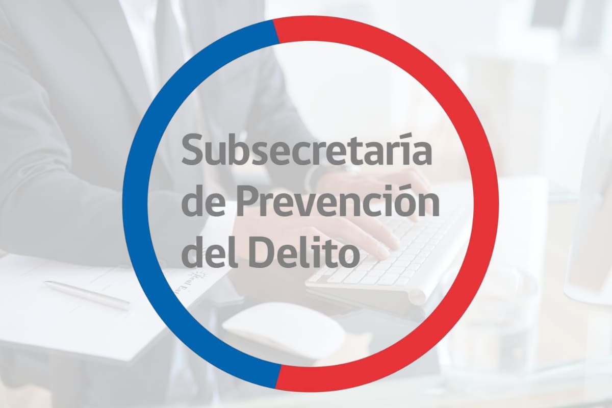 Conoce los diferentes trabajos a los que puedes postular.
