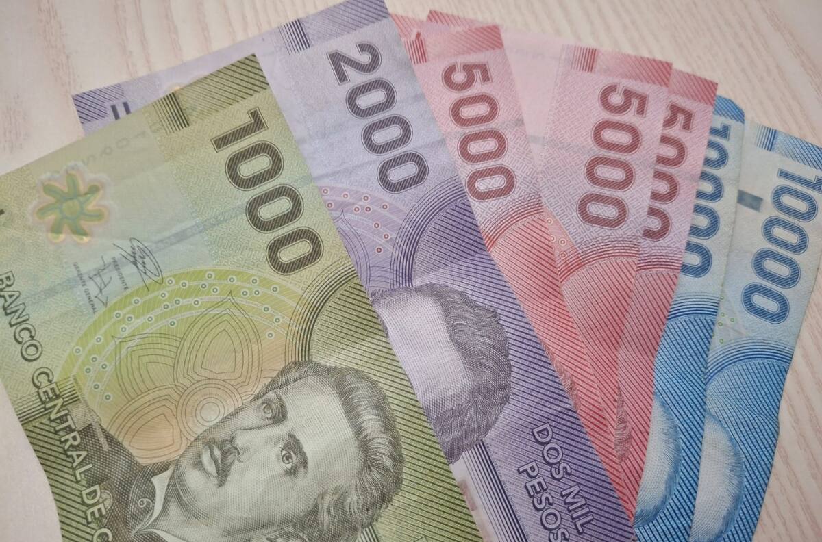 Los chilenos que cumplan solo dos requisitos pueden recibir un bono de $100.000 que paga el Estado