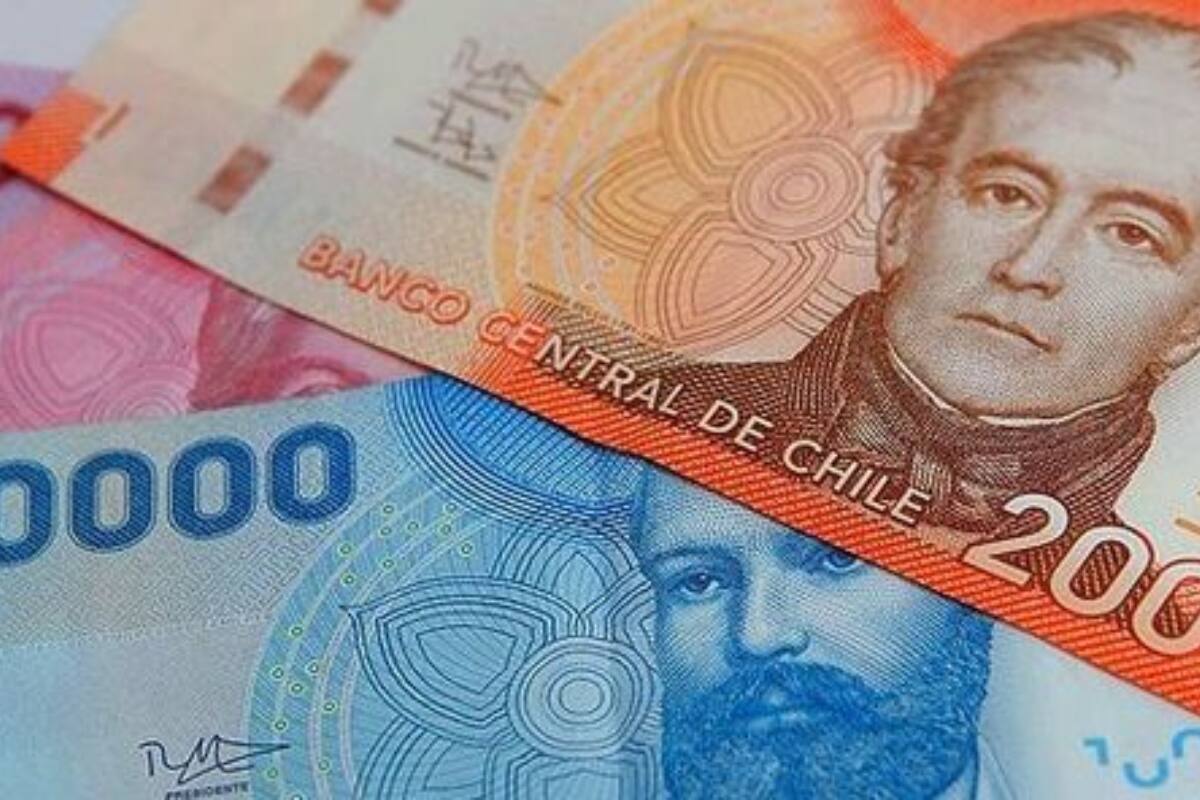 Conoce las cuatro condiciones requeridas. Créditos: Pinterest