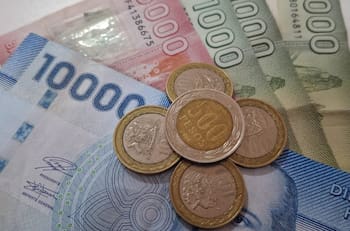 Solo con tu RUT conoce si recibes el bono de $22.000 mensuales que entrega el IPS a trabajadores jóvenes