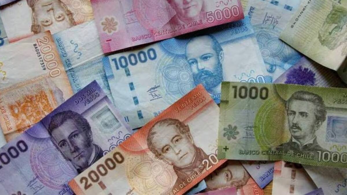 Trabajadores pueden solicitar hasta $646.000 si pertenecen al 40% del Registro Social de Hogares: Postula así