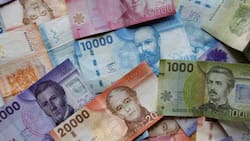 Trabajadores pueden solicitar hasta $646.000 si pertenecen al 40% del Registro Social de Hogares: Postula así