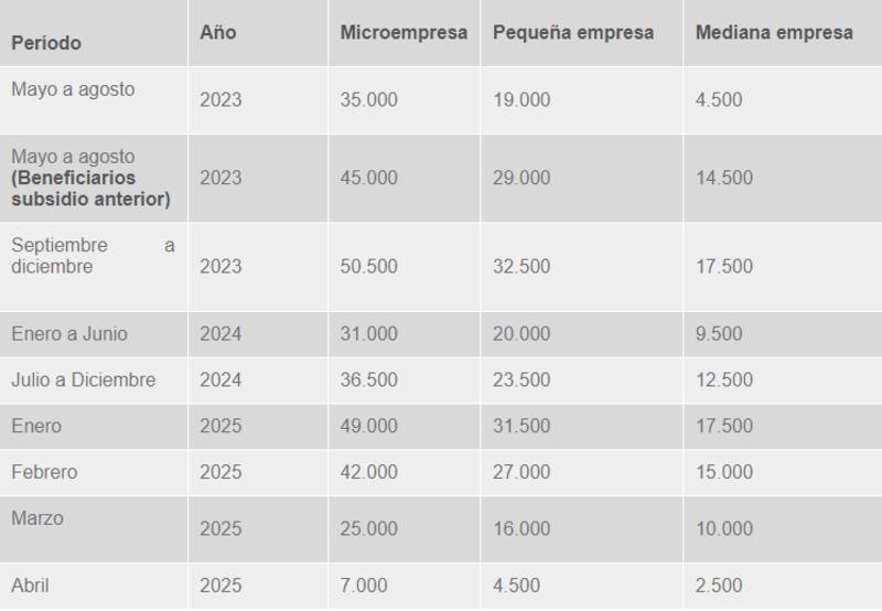 Los montos del subsidio fueron definidos por ley de esta manera. Créditos: SII.