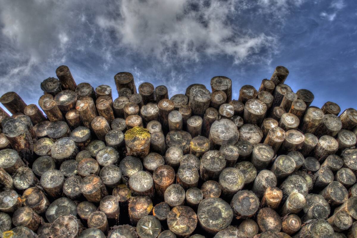 Este es un beneficio que se entrega exclusivamente a los habitantes de la Región de Aysén. Créditos: ATON.