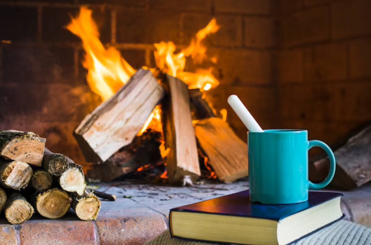 Consulta con tu RUT si puedes cobrar los $100.000 del Bono Leña 2024