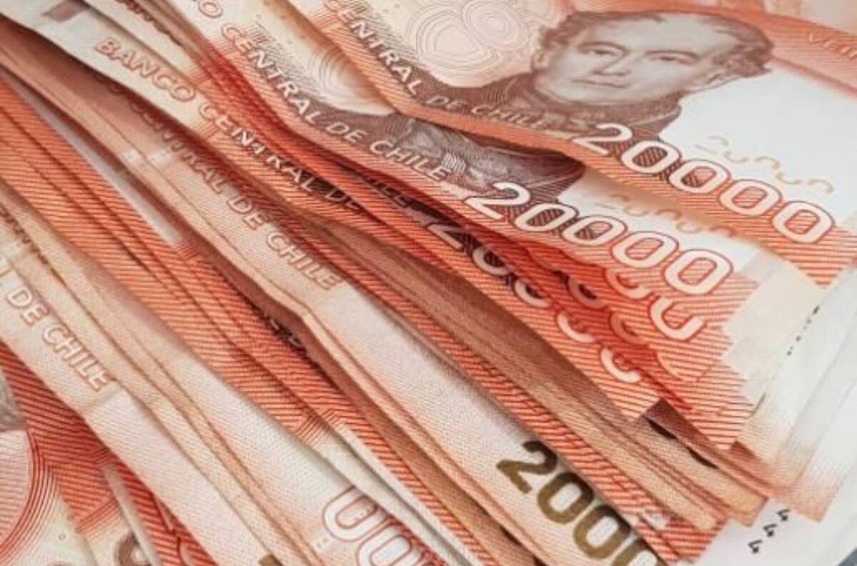 Conoce con tu RUT si tienes pendiente el bono de $100.000 para los gastos del invierno