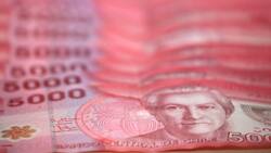 IPS paga hasta $17.000 mensuales a personas en condición de desempleo: ¿Cómo solicitar el dinero?