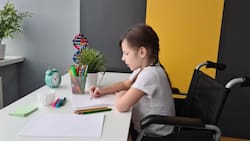 Estos son los requisitos para recibir los $103.086 del Subsidio de Discapacidad