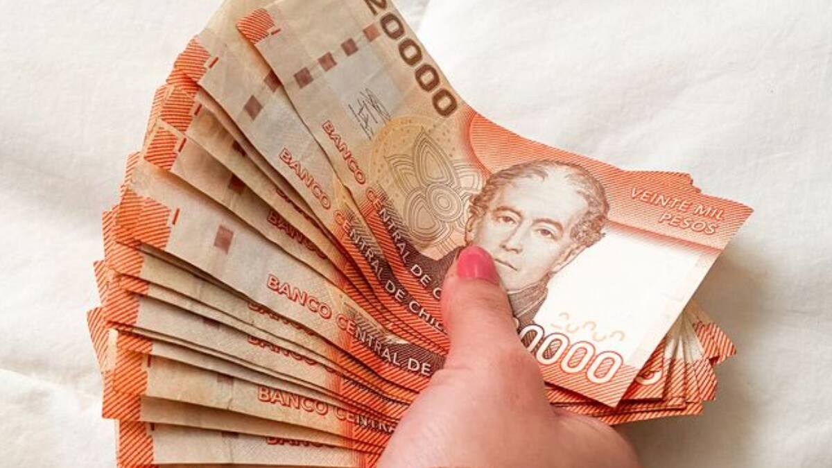 Sercotec entrega subsidios de hasta $3.500.000 millones a mujeres de esta región de Chile: son CUATRO requisitos