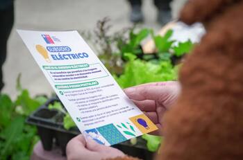 ¿Si soy extranjero puedo recibir el Subsidio Eléctrico?: Así puedes consultar si te corresponden los $68.000