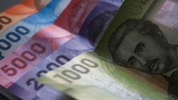 IPS entrega en mayo $21.000 por hijo a familias que estén en el 60% del RSH