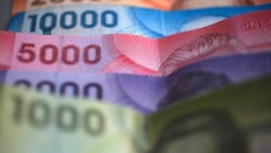 IPS paga $21.000 mensuales a mujeres del 60% del Registro Social de Hogares: son solo DOS requisitos