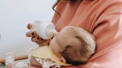 ¿Cuándo se paga el Subsidio Protege en abril y hasta cuándo se puede postular?