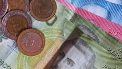 ¿Quedan pagos de $200.000 del Subsidio Protege?