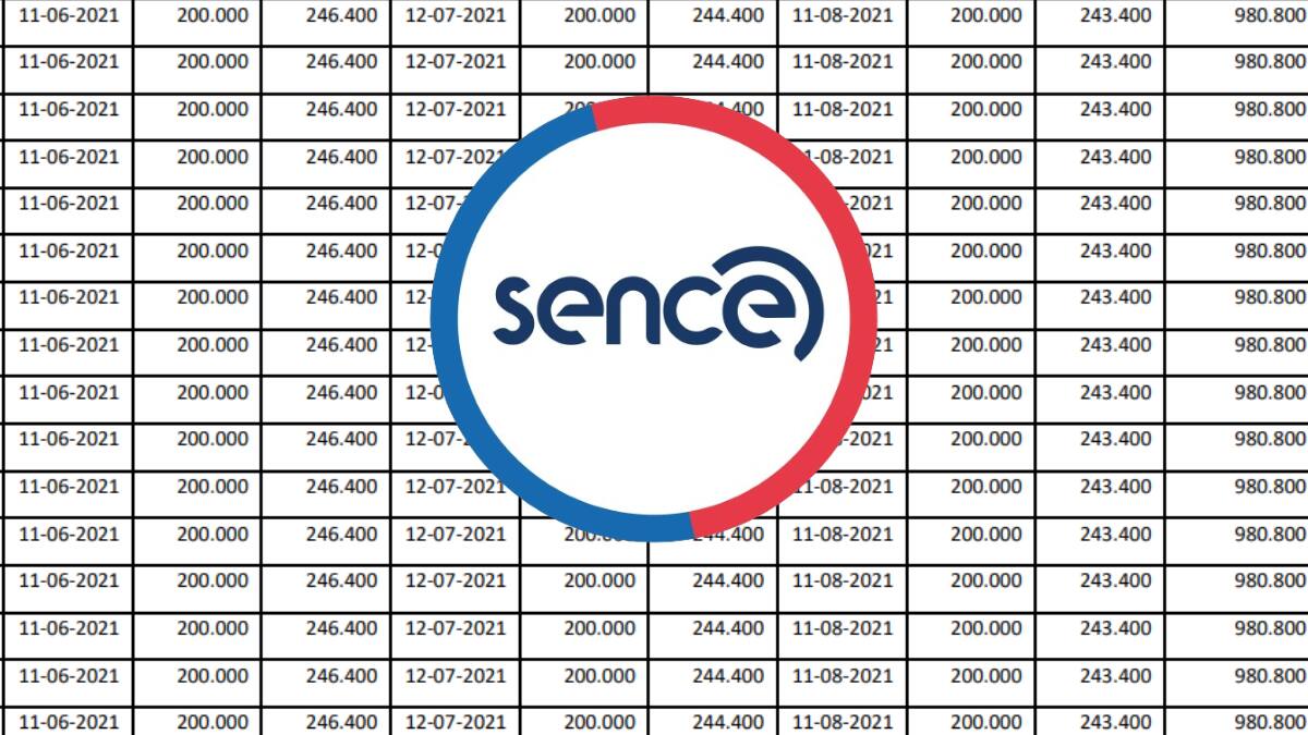 Reajustado: El valor que deberán devolver quienes recibieron incorrectamente el Subsidio Protege