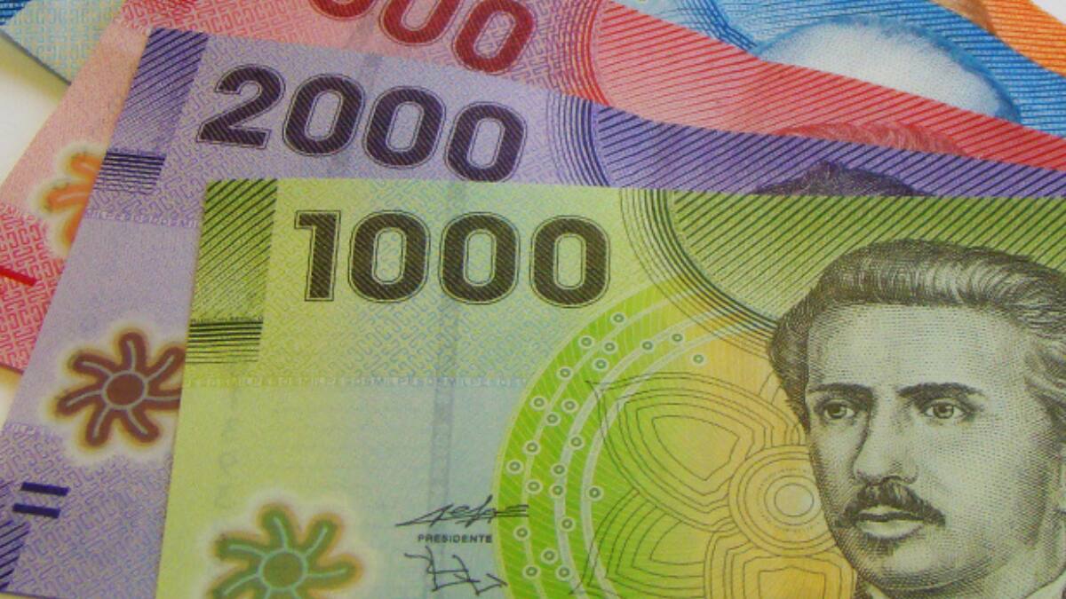 Conoce con tu RUT si recibirás el bono de $21.000 que el IPS entrega en mayo