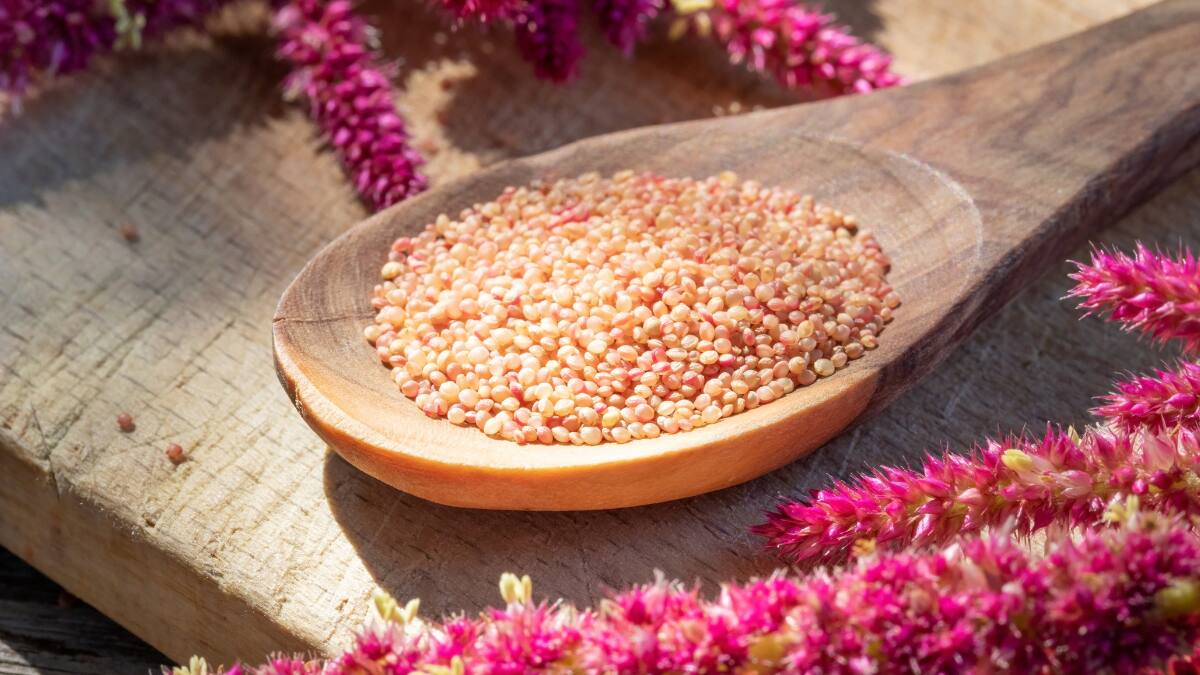 Este superalimento ayuda a fortalecer los huesos y músculos de adultos mayores