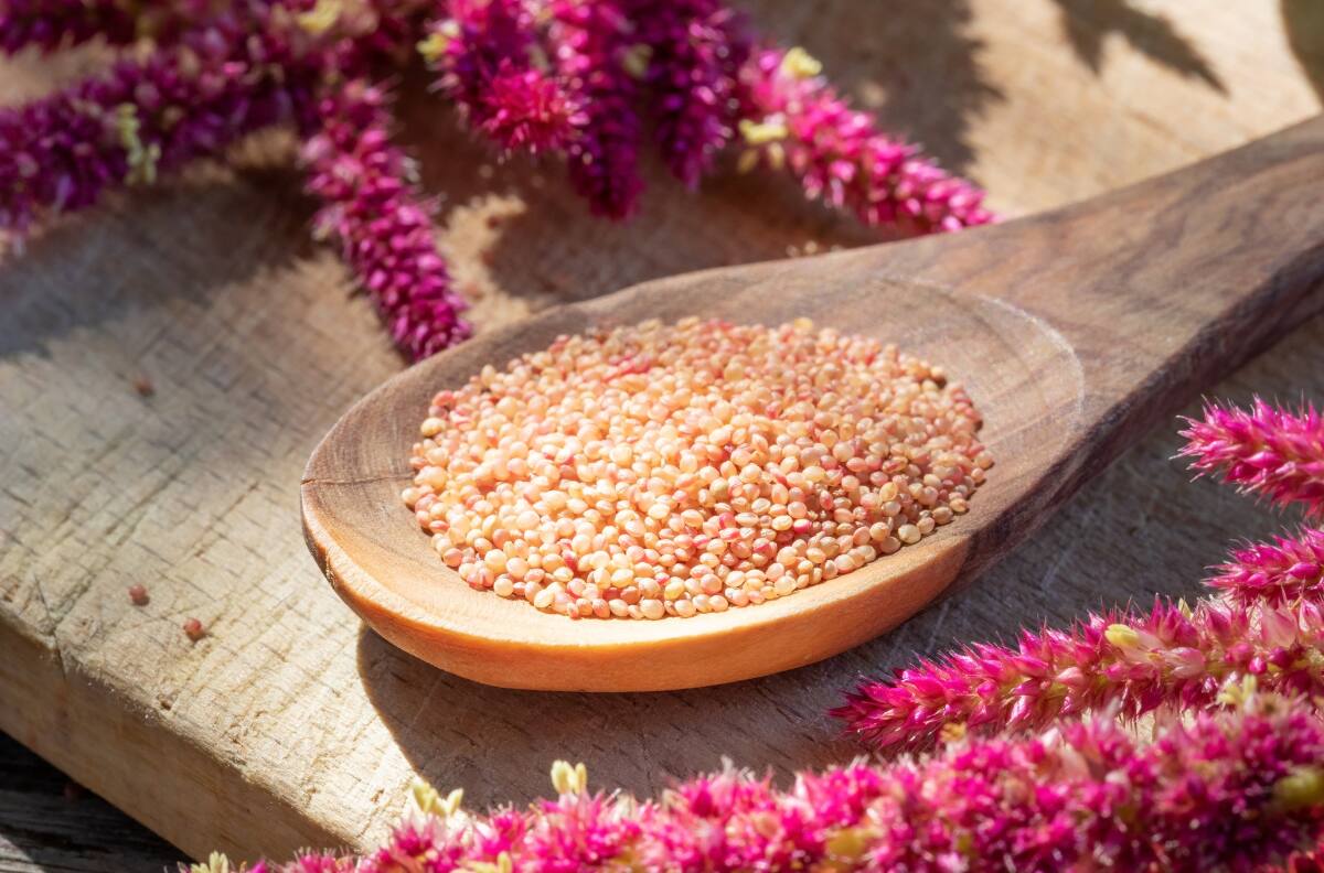 Este superalimento ayuda a fortalecer los huesos y músculos de adultos mayores