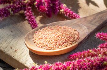 Este superalimento ayuda a fortalecer los huesos y músculos de adultos mayores